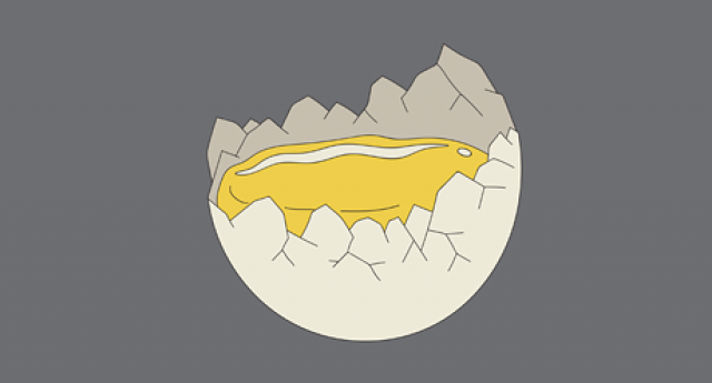 Откуда берутся краски